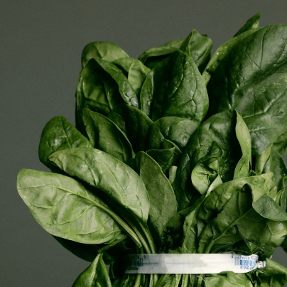Lutein